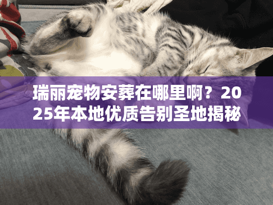 瑞丽宠物安葬在哪里啊？2025年本地优质告别圣地揭秘