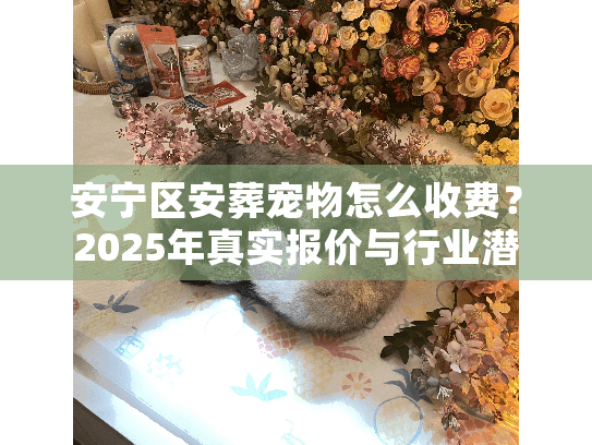 安宁区安葬宠物怎么收费?2025年真实报价与行业潜规则 安宁区安葬宠物怎么收费?2025年真实报价与行业潜规则