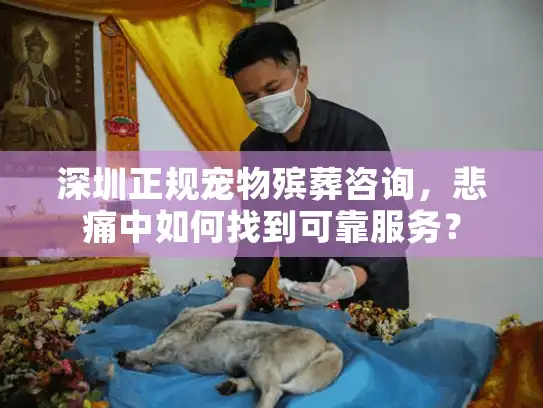 深圳正规宠物殡葬咨询,悲痛中如何找到可靠服务? 深圳正规宠物殡葬咨询,悲痛中如何找到可靠服务?
