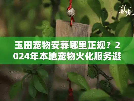 玉田宠物安葬哪里正规？2024年本地宠物火化服务避坑实录