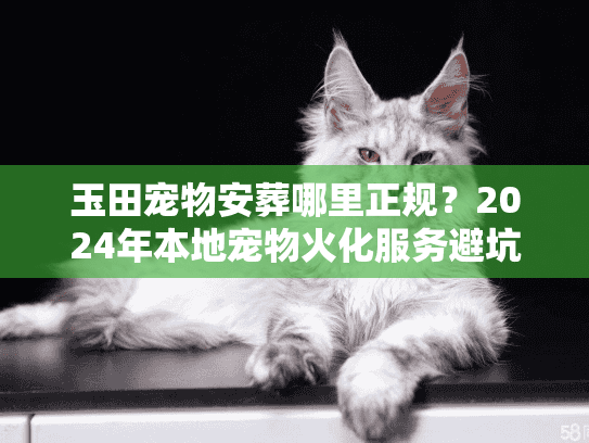 玉田宠物安葬哪里正规？2024年本地宠物火化服务避坑实录
