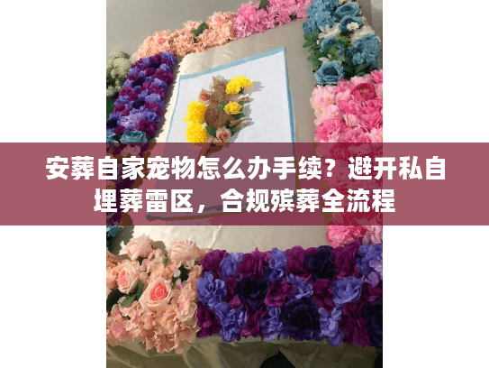 安葬自家宠物怎么办手续？避开私自埋葬雷区，合规殡葬全流程