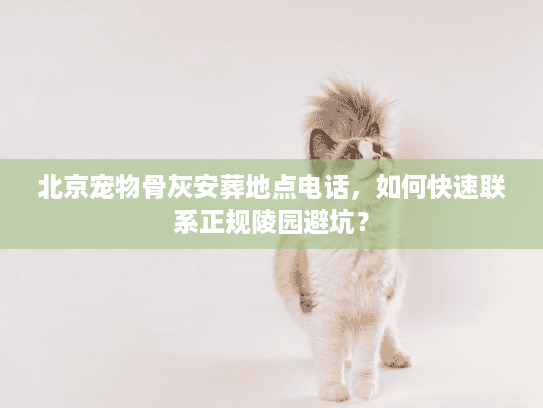 北京宠物骨灰安葬地点电话，如何快速联系正规陵园避坑？