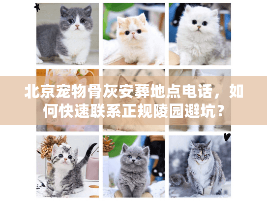 北京宠物骨灰安葬地点电话，如何快速联系正规陵园避坑？