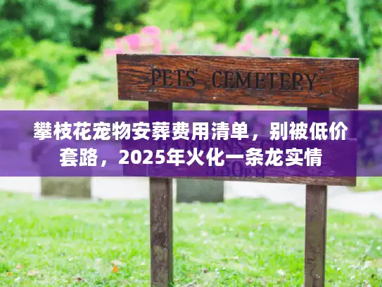 攀枝花宠物安葬费用清单，别被低价套路，2025年火化一条龙实情