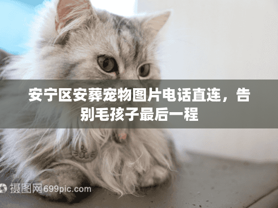 安宁区安葬宠物图片电话直连,告别毛孩子最后一程 安宁区安葬宠物图片电话直连,告别毛孩子最后一程