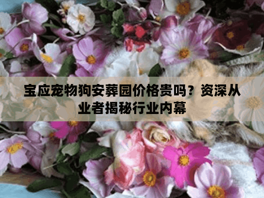 宝应宠物狗安葬园价格贵吗?资深从业者揭秘行业内幕 宝应宠物狗安葬园价格贵吗?资深从业者揭秘行业内幕