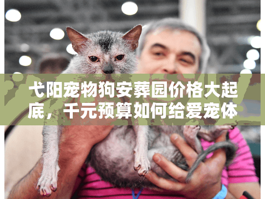 弋阳宠物狗安葬园价格大起底，千元预算如何给爱宠体面身后事？