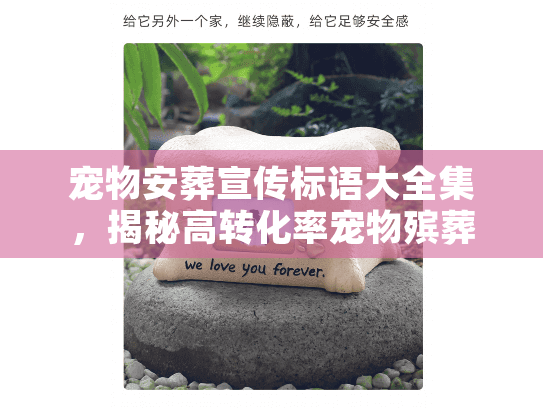 宠物安葬宣传标语大全集，揭秘高转化率宠物殡葬文案底层逻辑