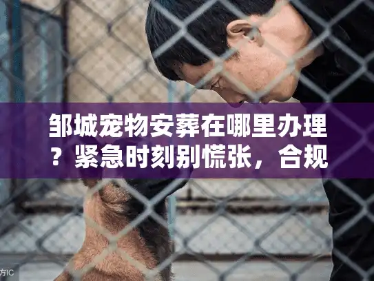 邹城宠物安葬在哪里办理？紧急时刻别慌张，合规机构全解析