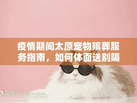 疫情期间太原宠物殡葬服务指南，如何体面送别隔离中的爱宠