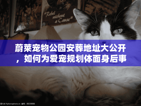 蔚莱宠物公园安葬地址大公开，如何为爱宠规划体面身后事？