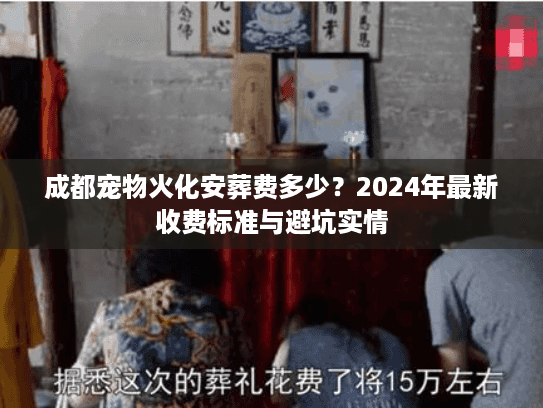 成都宠物火化安葬费多少？2024年最新收费标准与避坑实情