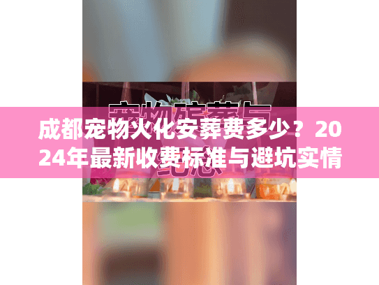 成都宠物火化安葬费多少？2024年最新收费标准与避坑实情