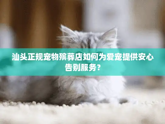汕头正规宠物殡葬店如何为爱宠提供安心告别服务? 汕头正规宠物殡葬店如何为爱宠提供安心告别服务?