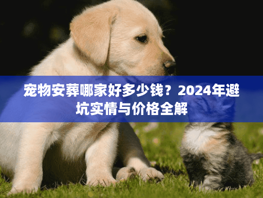 宠物安葬哪家好多少钱？2024年避坑实情与价格全解