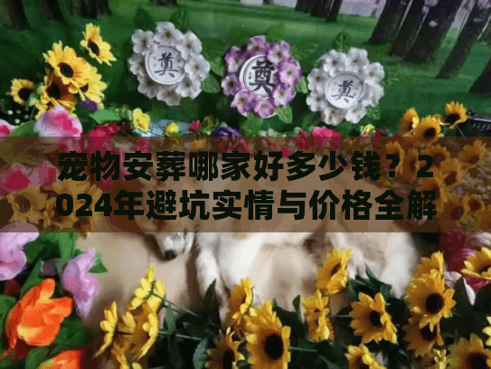 宠物安葬哪家好多少钱？2024年避坑实情与价格全解