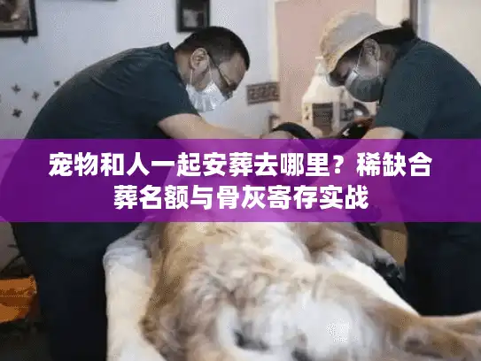 宠物和人一起安葬去哪里？稀缺合葬名额与骨灰寄存实战