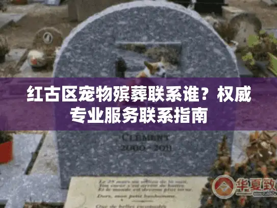 红古区宠物殡葬联系谁？权威专业服务联系指南