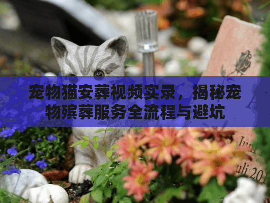 宠物猫安葬视频实录,揭秘宠物殡葬服务全流程与避坑 宠物猫安葬视频实录,揭秘宠物殡葬服务全流程与避坑
