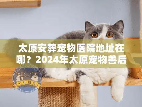 太原安葬宠物医院地址在哪？2024年太原宠物善后实况