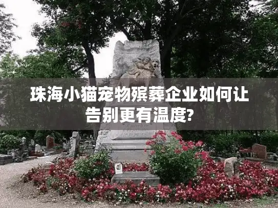 珠海小猫宠物殡葬企业如何让告别更有温度?
