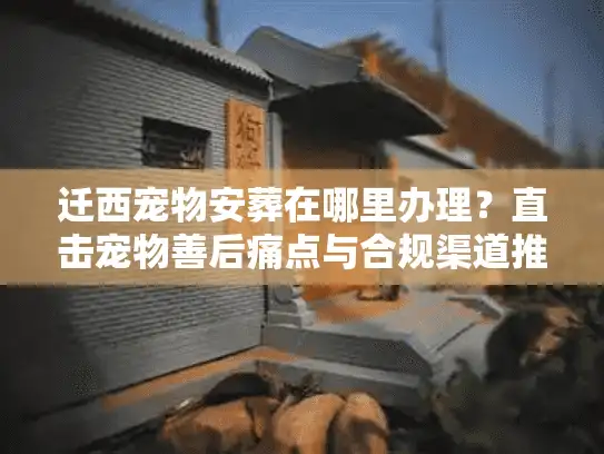 迁西宠物安葬在哪里办理？直击宠物善后痛点与合规渠道推荐