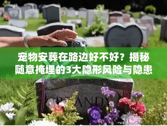 宠物安葬在路边好不好?揭秘随意掩埋的3大隐形风险与隐患 宠物安葬在路边好不好?揭秘随意掩埋的3大隐形风险与隐患