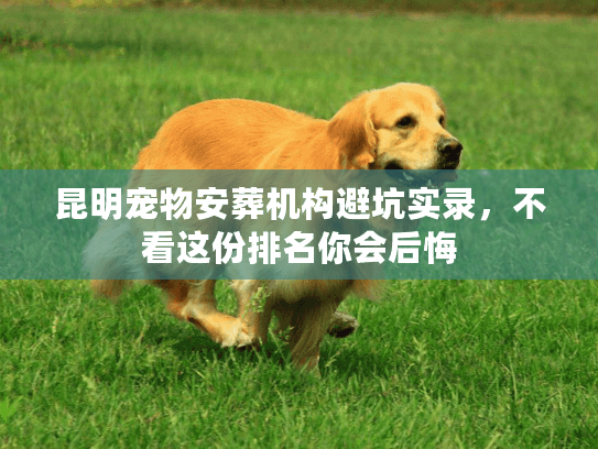 昆明宠物安葬机构避坑实录,不看这份排名你会后悔 昆明宠物安葬机构避坑实录,不看这份排名你会后悔