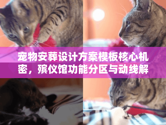 宠物安葬设计方案模板核心机密，殡仪馆功能分区与动线解密