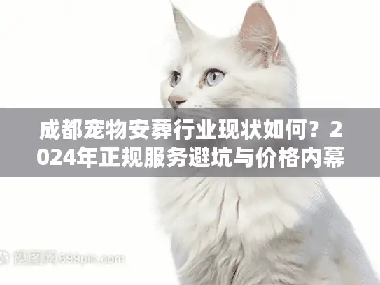 成都宠物安葬行业现状如何？2024年正规服务避坑与价格内幕