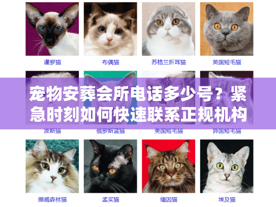 宠物安葬会所电话多少号?紧急时刻如何快速联系正规机构 宠物安葬会所电话多少号?紧急时刻如何快速联系正规机构