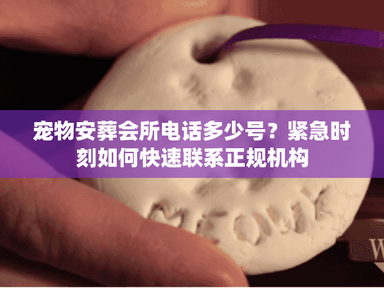 宠物安葬会所电话多少号?紧急时刻如何快速联系正规机构 宠物安葬会所电话多少号?紧急时刻如何快速联系正规机构