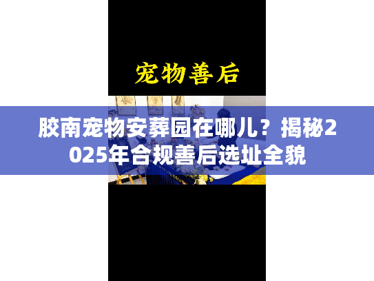 胶南宠物安葬园在哪儿？揭秘2025年合规善后选址全貌