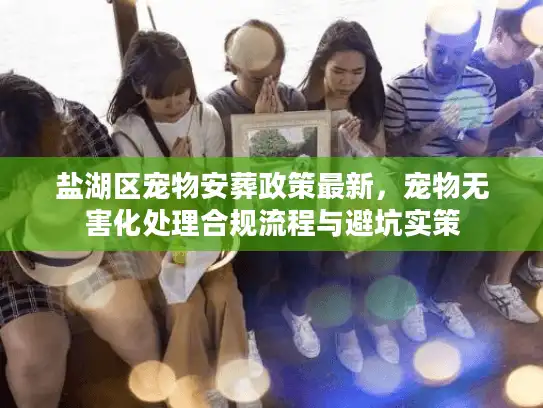 盐湖区宠物安葬政策最新，宠物无害化处理合规流程与避坑实策