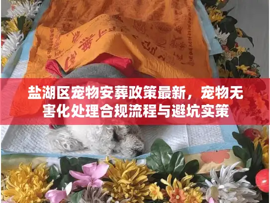 盐湖区宠物安葬政策最新，宠物无害化处理合规流程与避坑实策