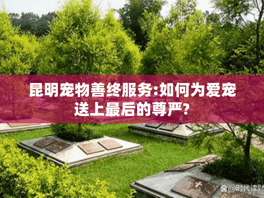 昆明宠物善终服务:如何为爱宠送上最后的尊严? 昆明宠物善终服务:如何为爱宠送上最后的尊严?