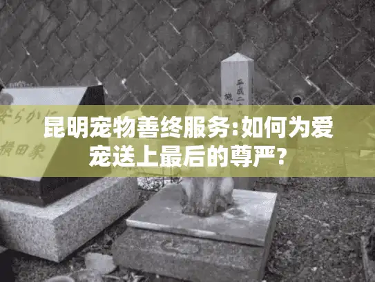 昆明宠物善终服务:如何为爱宠送上最后的尊严? 昆明宠物善终服务:如何为爱宠送上最后的尊严?