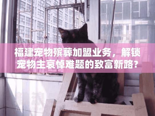 福建宠物殡葬加盟业务,解锁宠物主哀悼难题的致富新路? 福建宠物殡葬加盟业务,解锁宠物主哀悼难题的致富新路?