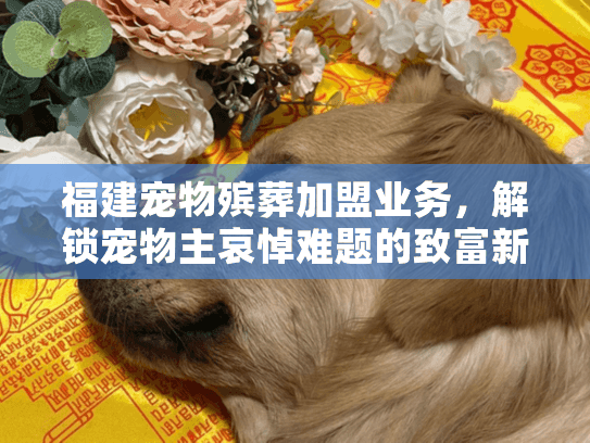 福建宠物殡葬加盟业务,解锁宠物主哀悼难题的致富新路? 福建宠物殡葬加盟业务,解锁宠物主哀悼难题的致富新路?
