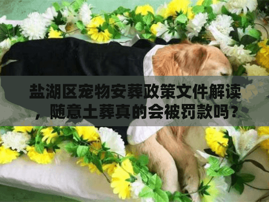 盐湖区宠物安葬政策文件解读，随意土葬真的会被罚款吗？