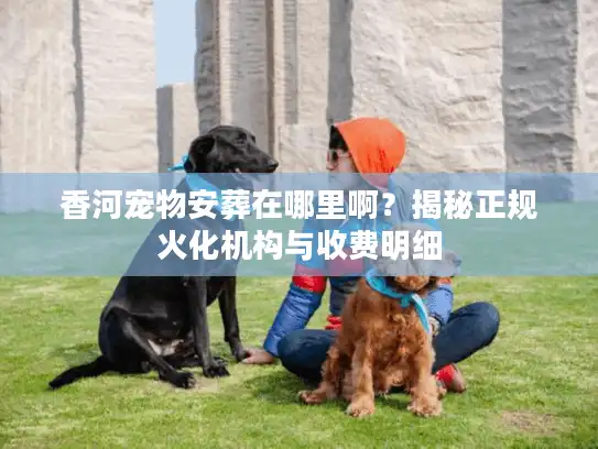 香河宠物安葬在哪里啊？揭秘正规火化机构与收费明细