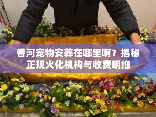 香河宠物安葬在哪里啊？揭秘正规火化机构与收费明细