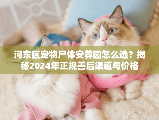 河东区宠物尸体安葬园怎么选？揭秘2024年正规善后渠道与价格