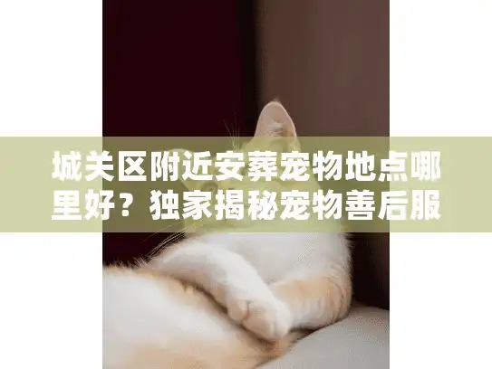 城关区附近安葬宠物地点哪里好？独家揭秘宠物善后服务的隐形坑