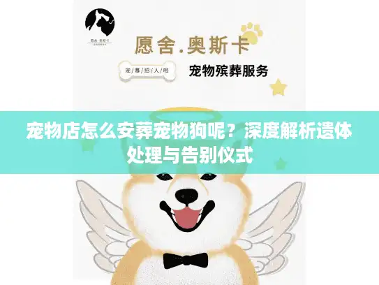 宠物店怎么安葬宠物狗呢?深度解析遗体处理与告别仪式 宠物店怎么安葬宠物狗呢?深度解析遗体处理与告别仪式