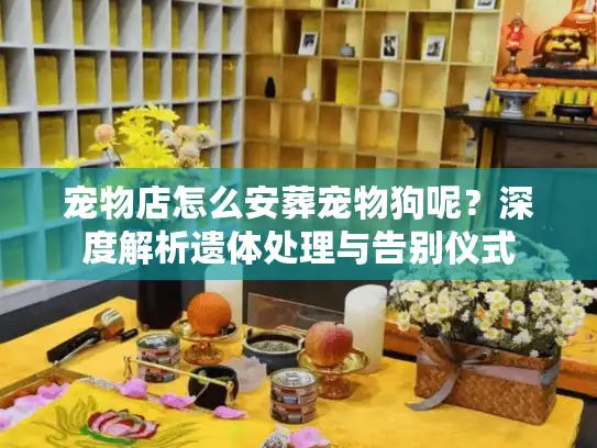 宠物店怎么安葬宠物狗呢?深度解析遗体处理与告别仪式 宠物店怎么安葬宠物狗呢?深度解析遗体处理与告别仪式