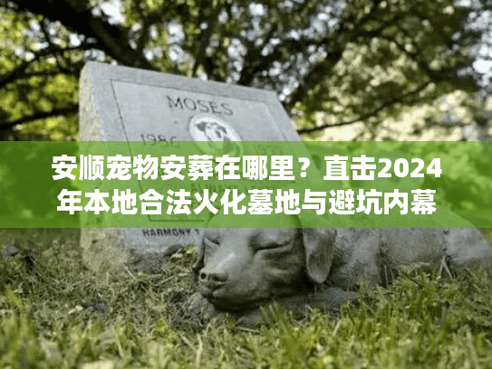 安顺宠物安葬在哪里？直击2024年本地合法火化墓地与避坑内幕