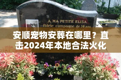 安顺宠物安葬在哪里？直击2024年本地合法火化墓地与避坑内幕