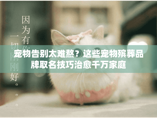 宠物告别太难熬？这些宠物殡葬品牌取名技巧治愈千万家庭